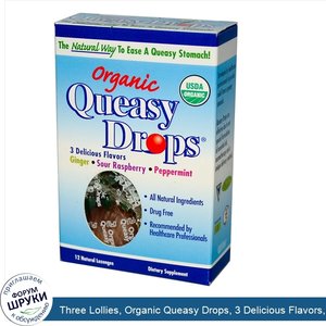 Three_Lollies__Organic_Queasy_Drops__3_Delicious_Flavors__12_Lozenges.jpg