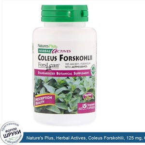 Nature_s_Plus__Herbal_Actives__Coleus_Forskohlii__125_mg__60_Vegetarian_Capsules.jpg