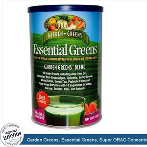 Garden_Greens__Essential_Greens__Super_ORAC_Concentrated_Greens_Drink_Mix__Very_Berry_Flavor__...jpg