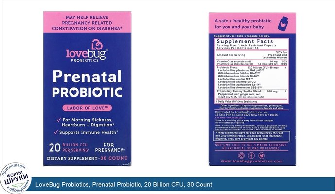 LoveBug Probiotics, Prenatal Probiotic, 20 Billion CFU, 30 Count