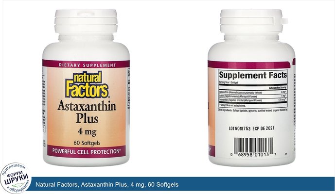 Natural Factors, Astaxanthin Plus, 4 mg, 60 Softgels