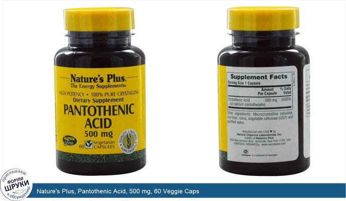 Nature\'s Plus, Pantothenic Acid, 500 mg, 60 Veggie Caps