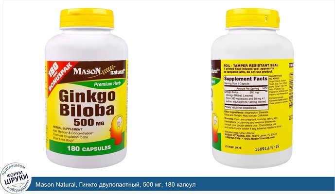 Mason Natural, Гинкго двулопастный, 500 мг, 180 капсул