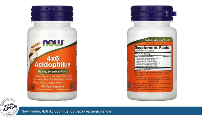 Now Foods, 4x6 Acidophilus, 60 растительных капсул