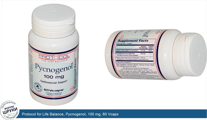 Protocol for Life Balance, Pycnogenol, 100 mg, 60 Vcaps