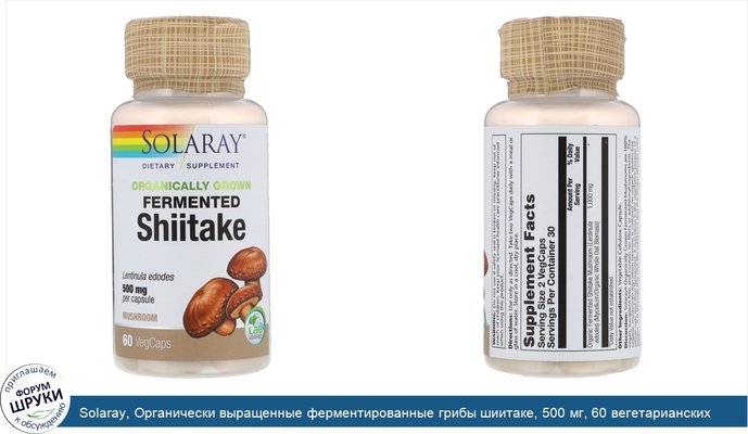 Solaray, Органически выращенные ферментированные грибы шиитаке, 500 мг, 60 вегетарианских капсул