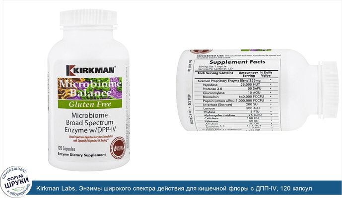 Kirkman Labs, Энзимы широкого спектра действия для кишечной флоры с ДПП-IV, 120 капсул
