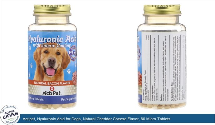 Actipet, Hyaluronic Acid for Dogs, Natural Cheddar Cheese Flavor, 60 Micro-Tablets