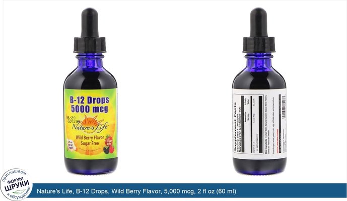 Nature\'s Life, B-12 Drops, Wild Berry Flavor, 5,000 mcg, 2 fl oz (60 ml)