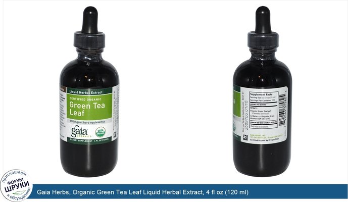 Gaia Herbs, Organic Green Tea Leaf Liquid Herbal Extract, 4 fl oz (120 ml)