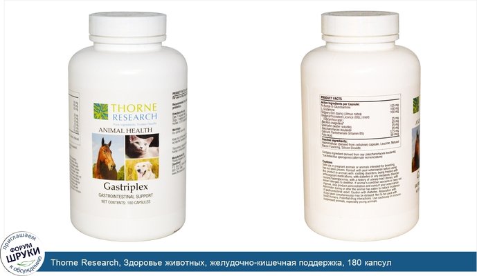 Thorne Research, Здоровье животных, желудочно-кишечная поддержка, 180 капсул