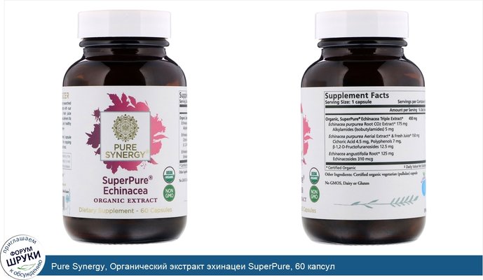 Pure Synergy, Органический экстракт эхинацеи SuperPure, 60 капсул