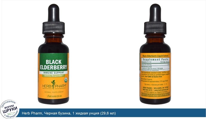 Herb Pharm, Черная бузина, 1 жидкая унция (29,6 мл)