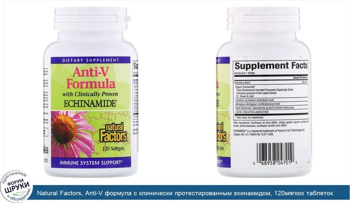 Natural Factors, Anti-V формула с клинически протестированным эхинамидом, 120мягких таблеток
