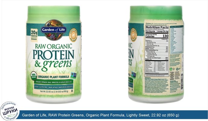 Garden of Life, RAW Protein Greens, Organic Plant Formula, Lightly Sweet, 22.92 oz (650 g)