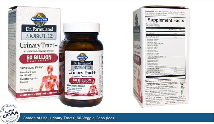 Garden of Life, Urinary Tract+, 60 Veggie Caps (Ice)