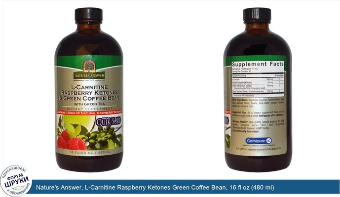 Nature\'s Answer, L-Carnitine Raspberry Ketones Green Coffee Bean, 16 fl oz (480 ml)