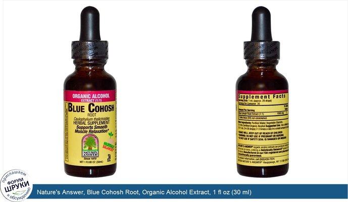 Nature\'s Answer, Blue Cohosh Root, Organic Alcohol Extract, 1 fl oz (30 ml)