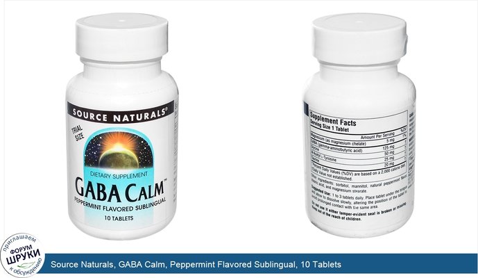 Source Naturals, GABA Calm, Peppermint Flavored Sublingual, 10 Tablets