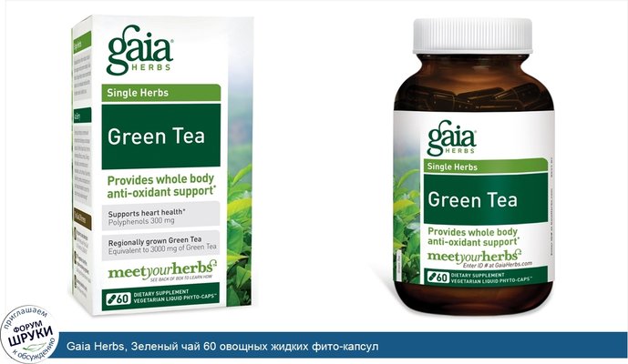 Gaia Herbs, Зеленый чай 60 овощных жидких фито-капсул
