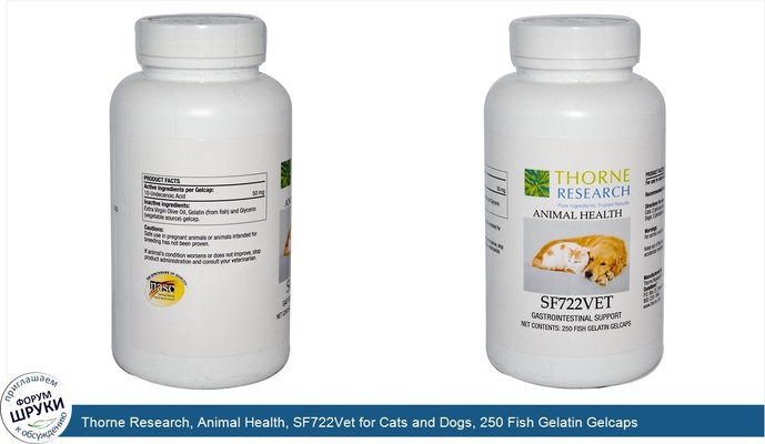 Thorne Research, Animal Health, SF722Vet for Cats and Dogs, 250 Fish Gelatin Gelcaps