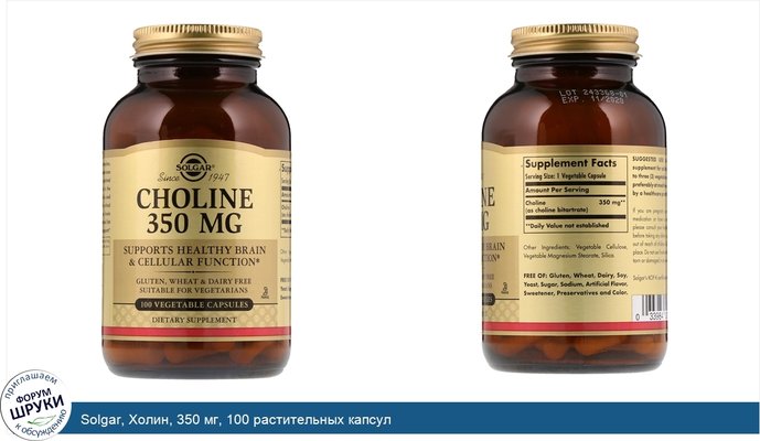 Solgar, Холин, 350 мг, 100 растительных капсул