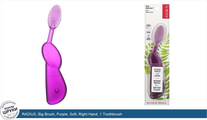 RADIUS, Big Brush, Purple, Soft, Right Hand, 1 Toothbrush