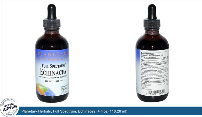 Planetary Herbals, Full Spectrum, Echinacea, 4 fl oz (118.28 ml)