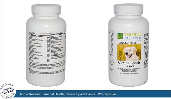 Thorne Research, Animal Health, Canine Sports Basics, 120 Capsules