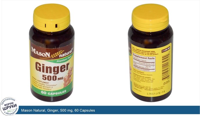 Mason Natural, Ginger, 500 mg, 60 Capsules