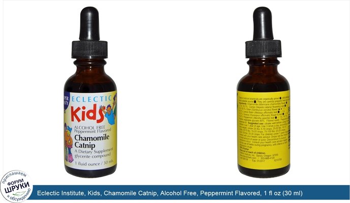 Eclectic Institute, Kids, Chamomile Catnip, Alcohol Free, Peppermint Flavored, 1 fl oz (30 ml)