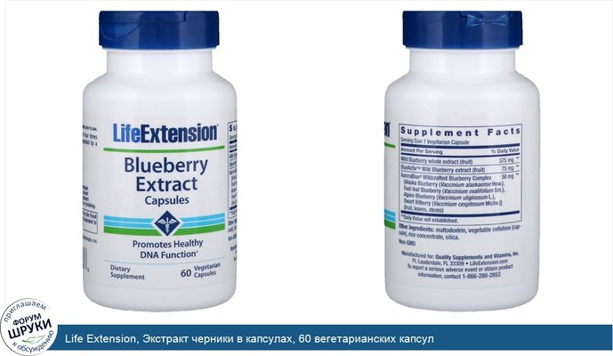 Life Extension, Экстракт черники в капсулах, 60 вегетарианских капсул