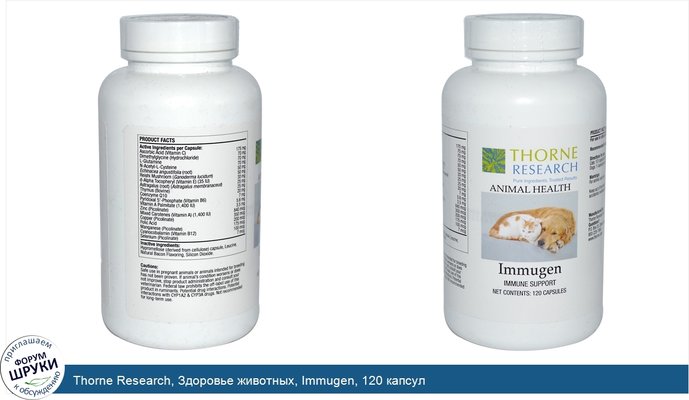 Thorne Research, Здоровье животных, Immugen, 120 капсул