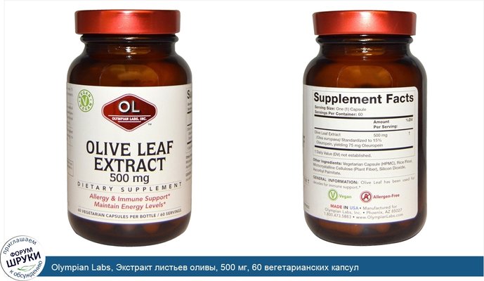 Olympian Labs, Экстракт листьев оливы, 500 мг, 60 вегетарианских капсул