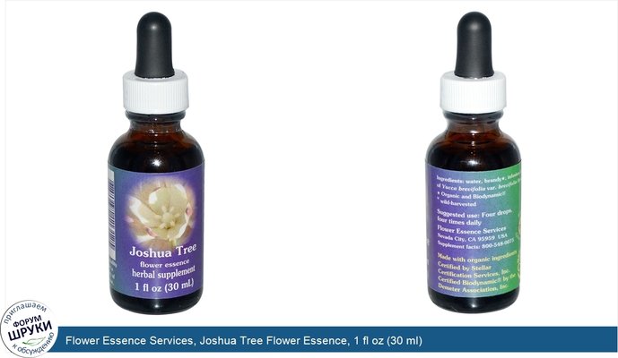 Flower Essence Services, Joshua Tree Flower Essence, 1 fl oz (30 ml)