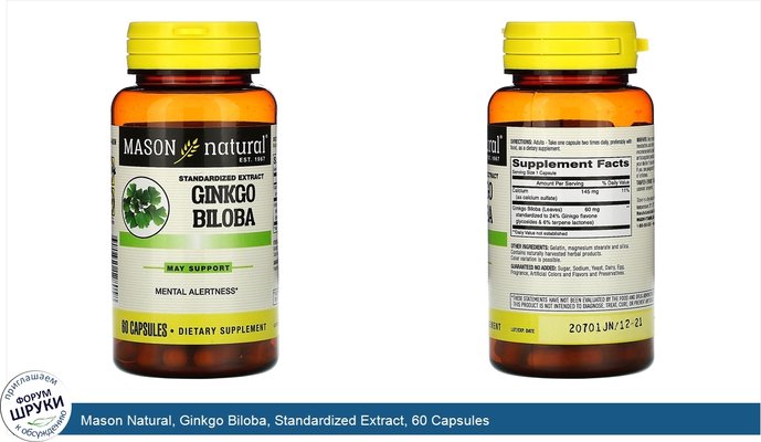 Mason Natural, Ginkgo Biloba, Standardized Extract, 60 Capsules