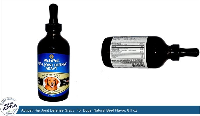 Actipet, Hip Joint Defense Gravy, For Dogs, Natural Beef Flavor, 8 fl oz
