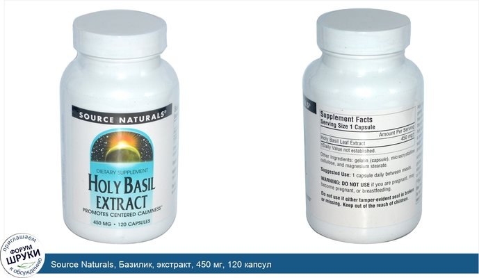 Source Naturals, Базилик, экстракт, 450 мг, 120 капсул