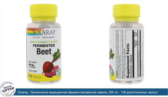 Solaray, Органически выращенная ферментированная свекла, 500 мг , 100 растительных капсул