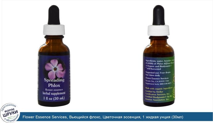 Flower Essence Services, Вьющийся флокс, Цветочная эссенция, 1 жидкая унция (30мл)