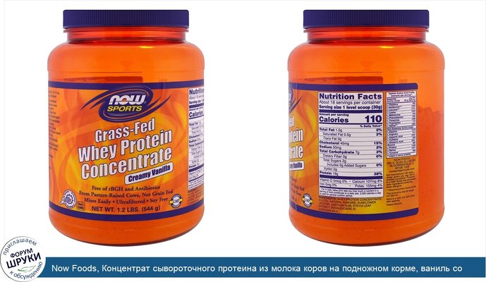 Now Foods, Концентрат сывороточного протеина из молока коров на подножном корме, ваниль со сливками, 1,2 фунта (544 г)