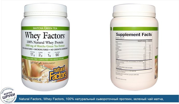 Natural Factors, Whey Factors, 100% натуральный сывороточный протеин, зеленый чай матча, 1000 мг, 12 унций (340 г)