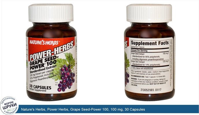 Nature\'s Herbs, Power Herbs, Grape Seed-Power 100, 100 mg, 30 Capsules