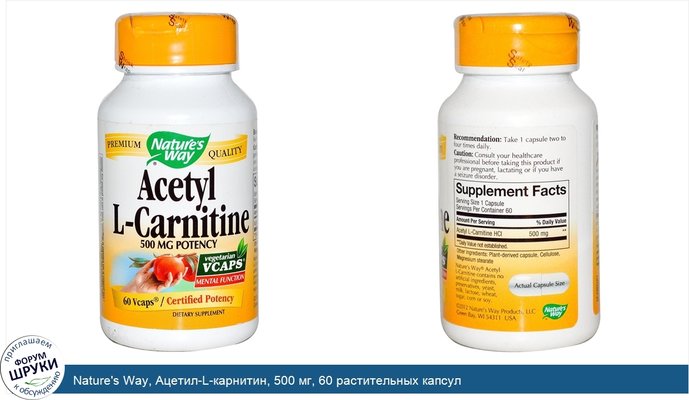 Nature\'s Way, Ацетил-L-карнитин, 500 мг, 60 растительных капсул