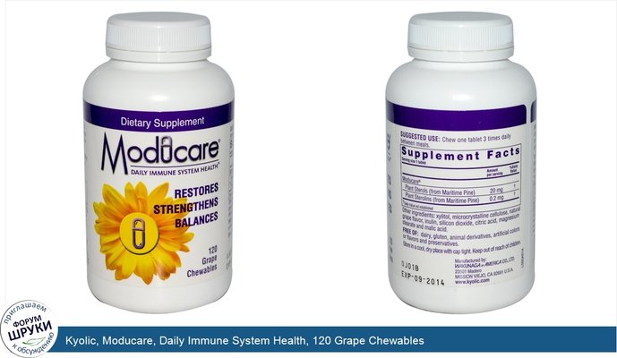 Kyolic, Moducare, Daily Immune System Health, 120 Grape Chewables