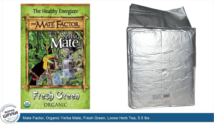 Mate Factor, Organic Yerba Mate, Fresh Green, Loose Herb Tea, 5.5 lbs
