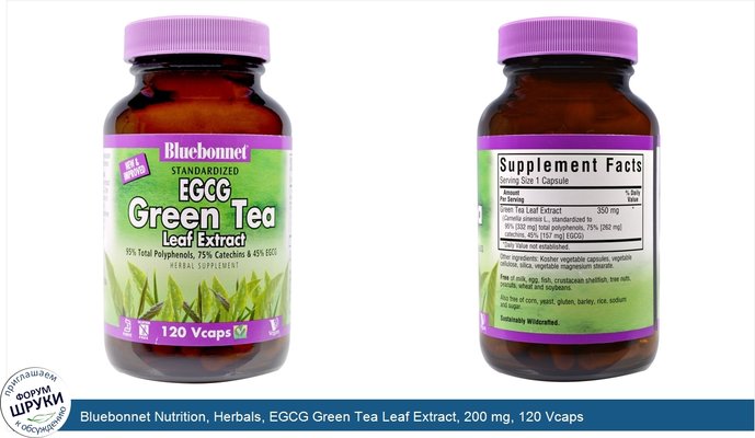 Bluebonnet Nutrition, Herbals, EGCG Green Tea Leaf Extract, 200 mg, 120 Vcaps