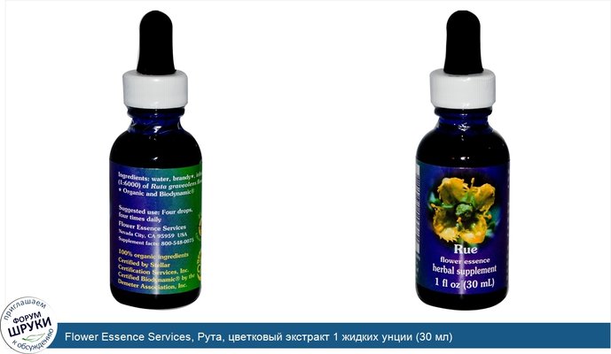 Flower Essence Services, Рута, цветковый экстракт 1 жидких унции (30 мл)