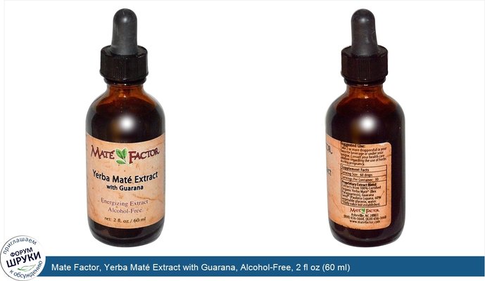 Mate Factor, Yerba Maté Extract with Guarana, Alcohol-Free, 2 fl oz (60 ml)