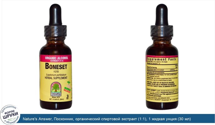 Nature\'s Answer, Посконник, органический спиртовой экстракт (1:1), 1 жидкая унция (30 мл)